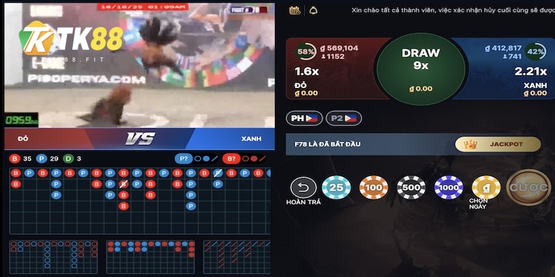 5-ly-do-xem-da-ga-online-tk88